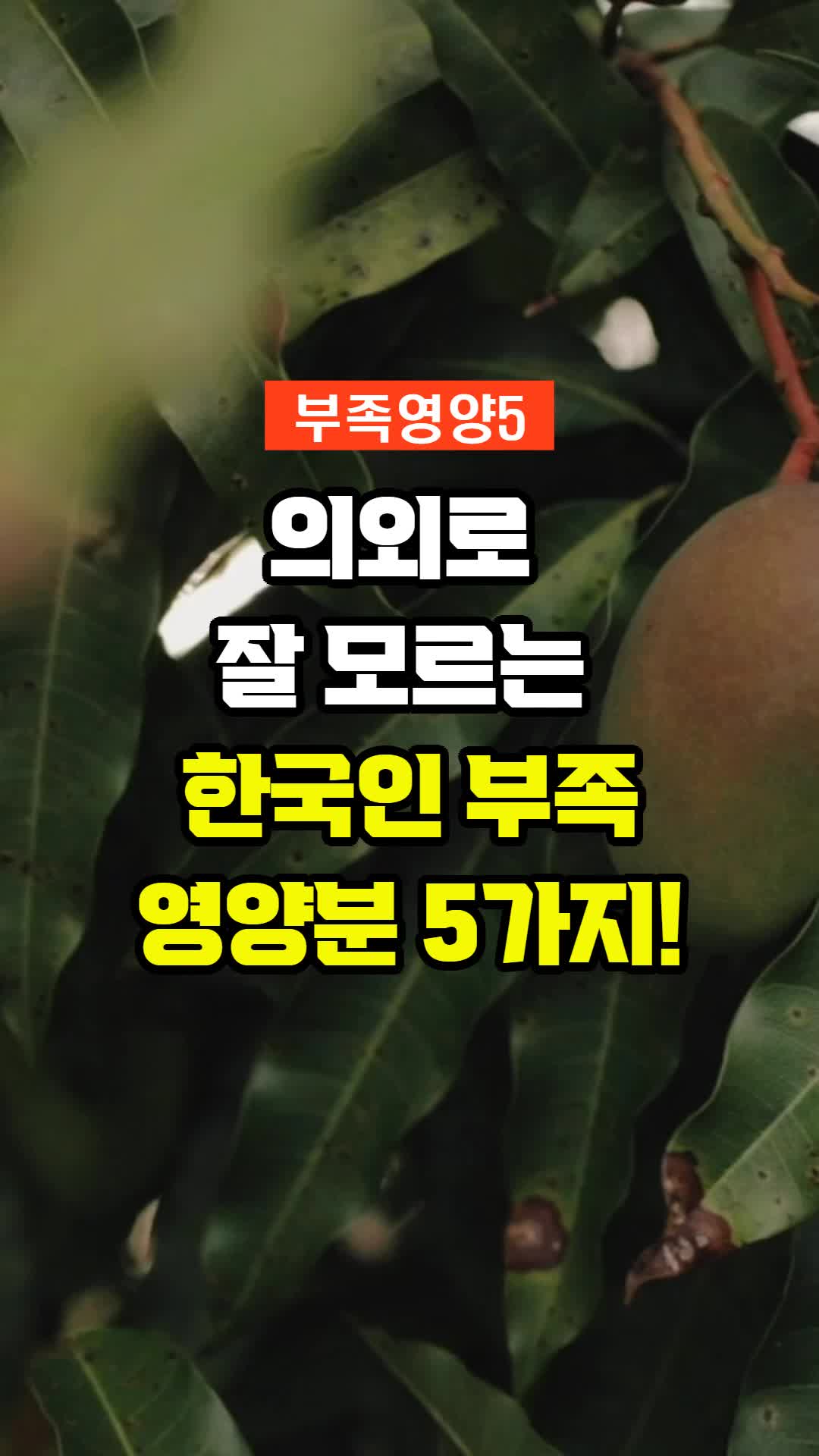 @선한부자의 건강이야기