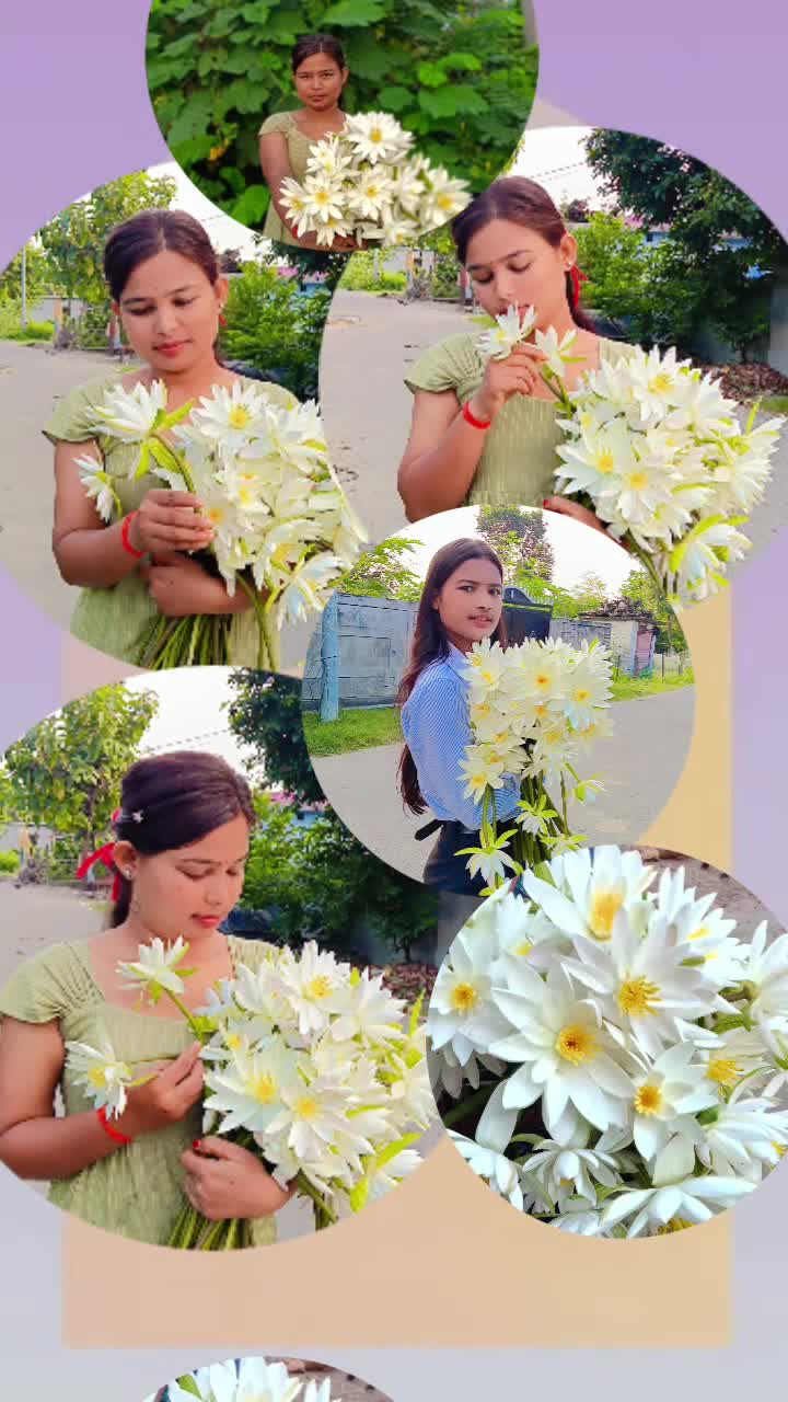 @👑pinky pahari 🍁💚🥀