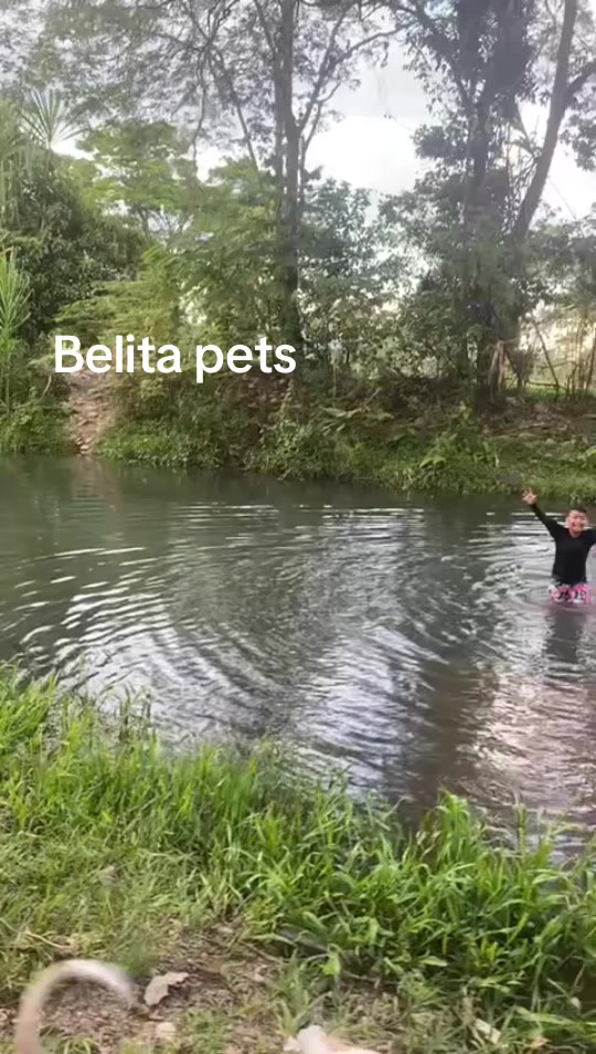 @BelitaPets