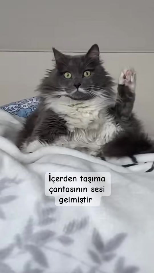@Kıvanç&Berfin
