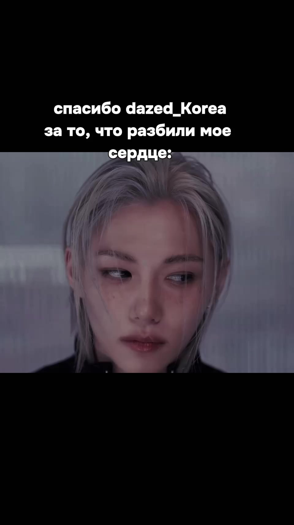 @🩶тгк - Стейские поля🩷