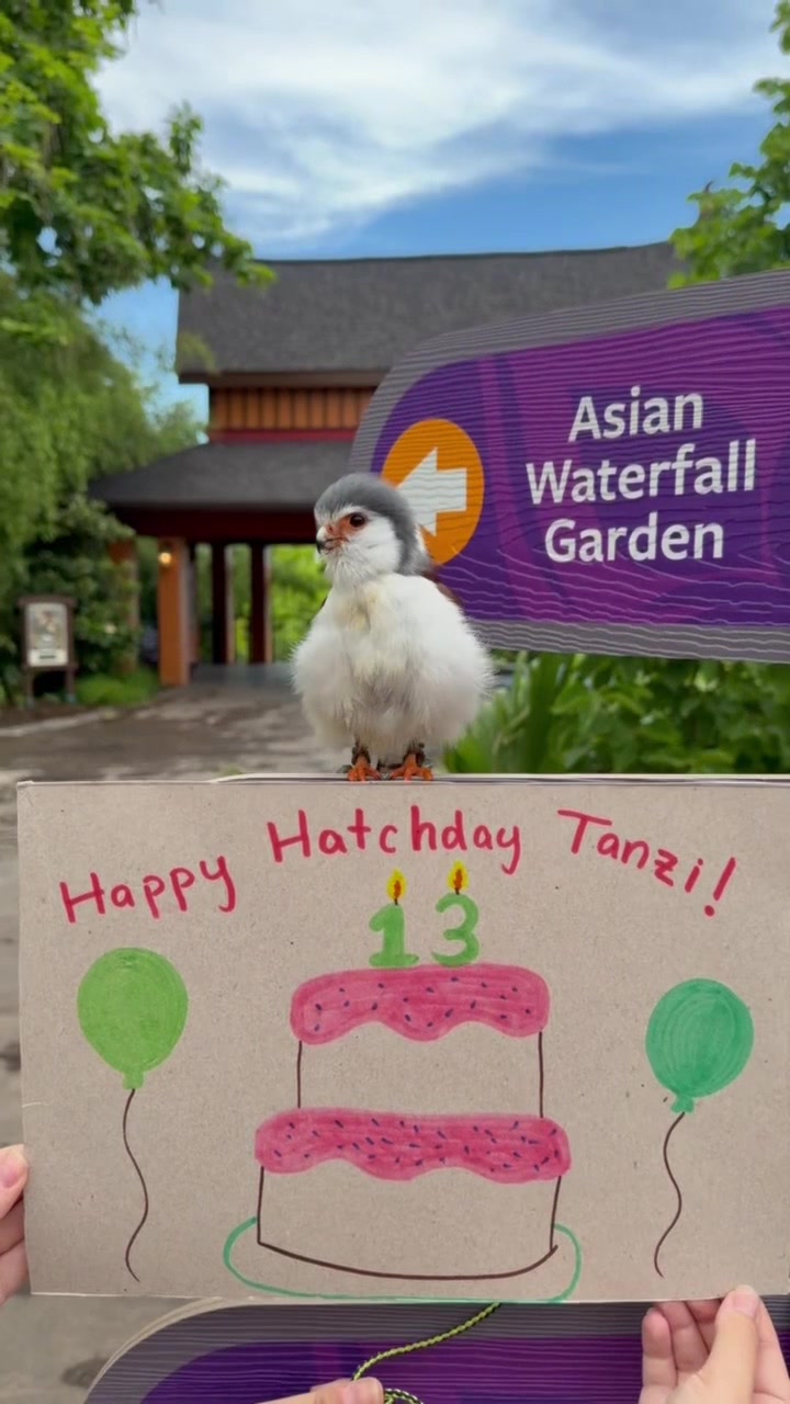 @Cincinnati Zoo