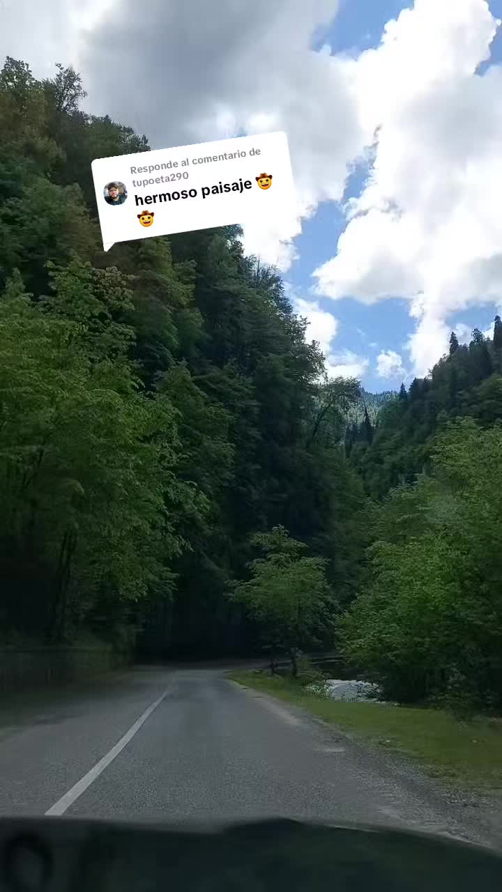 @Ana