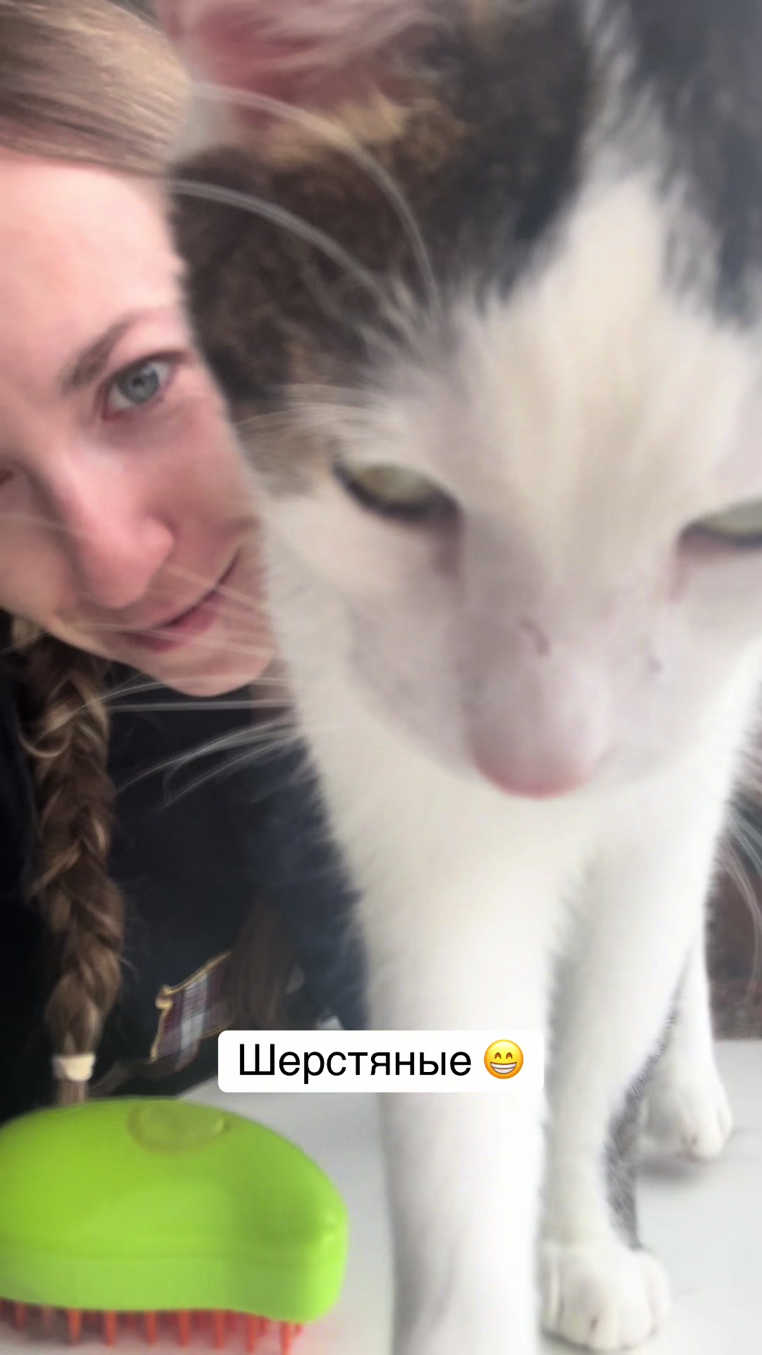 @Оля & Co🐈⬛🐈