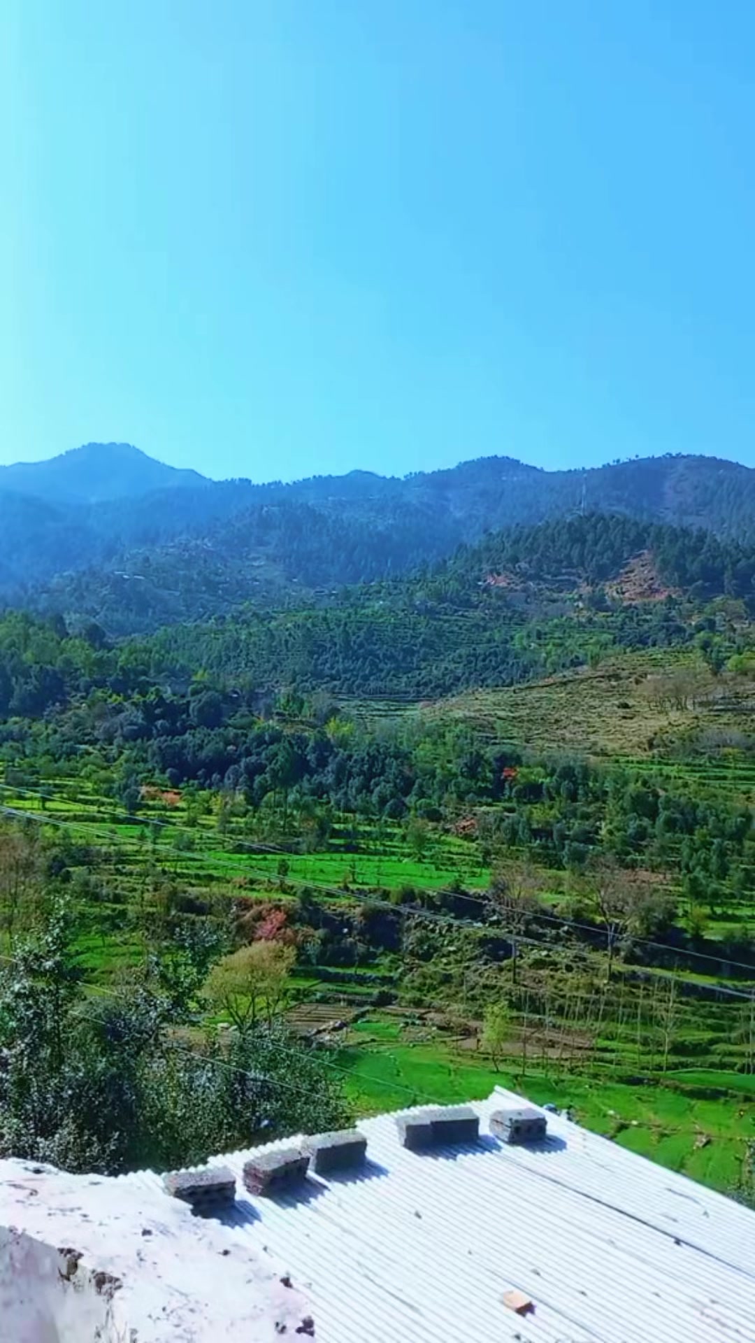 @salman Khan804🇵🇰