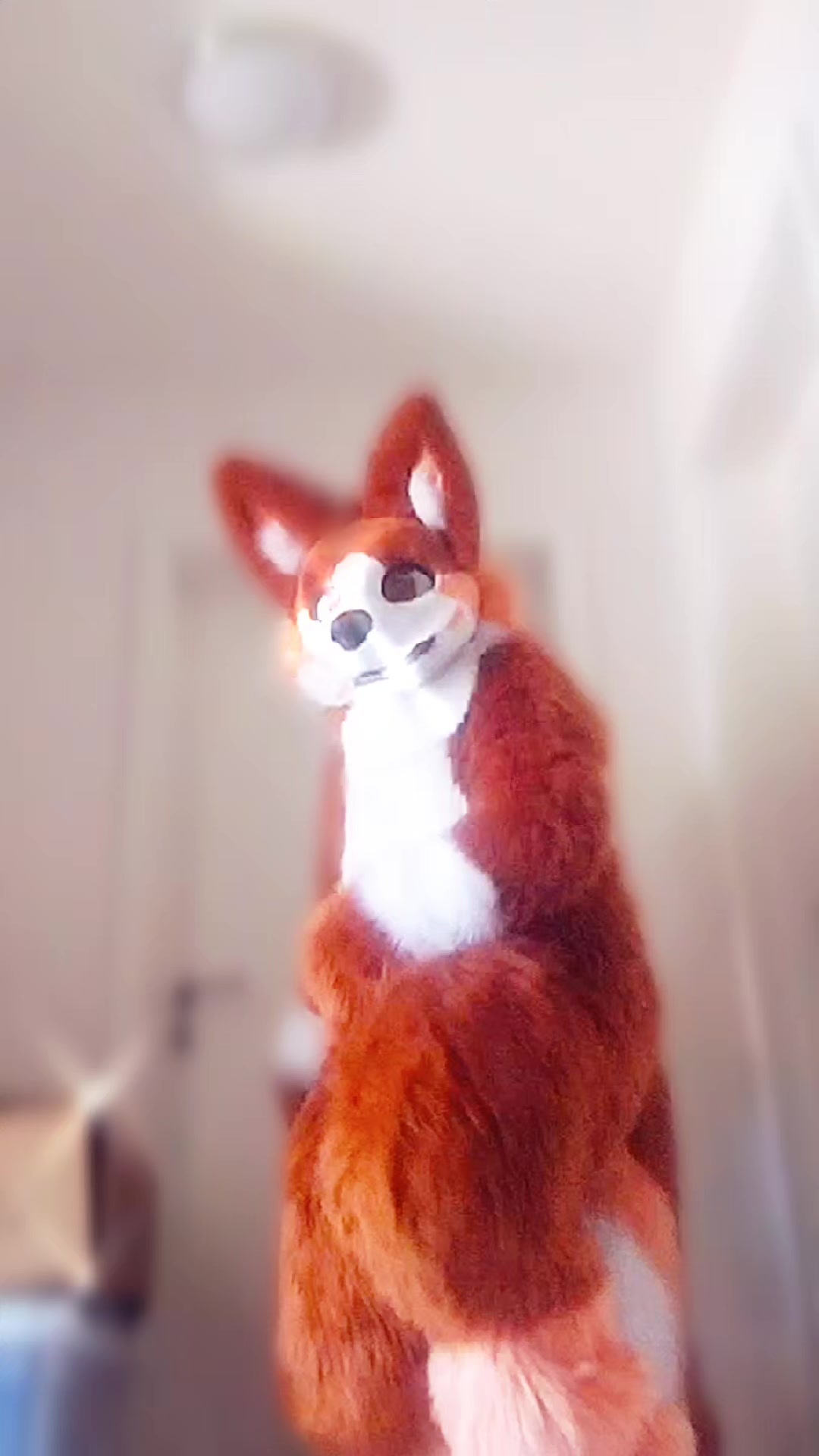 @🍑ℙ𝕖𝕒𝕔𝕙𝕠🍑