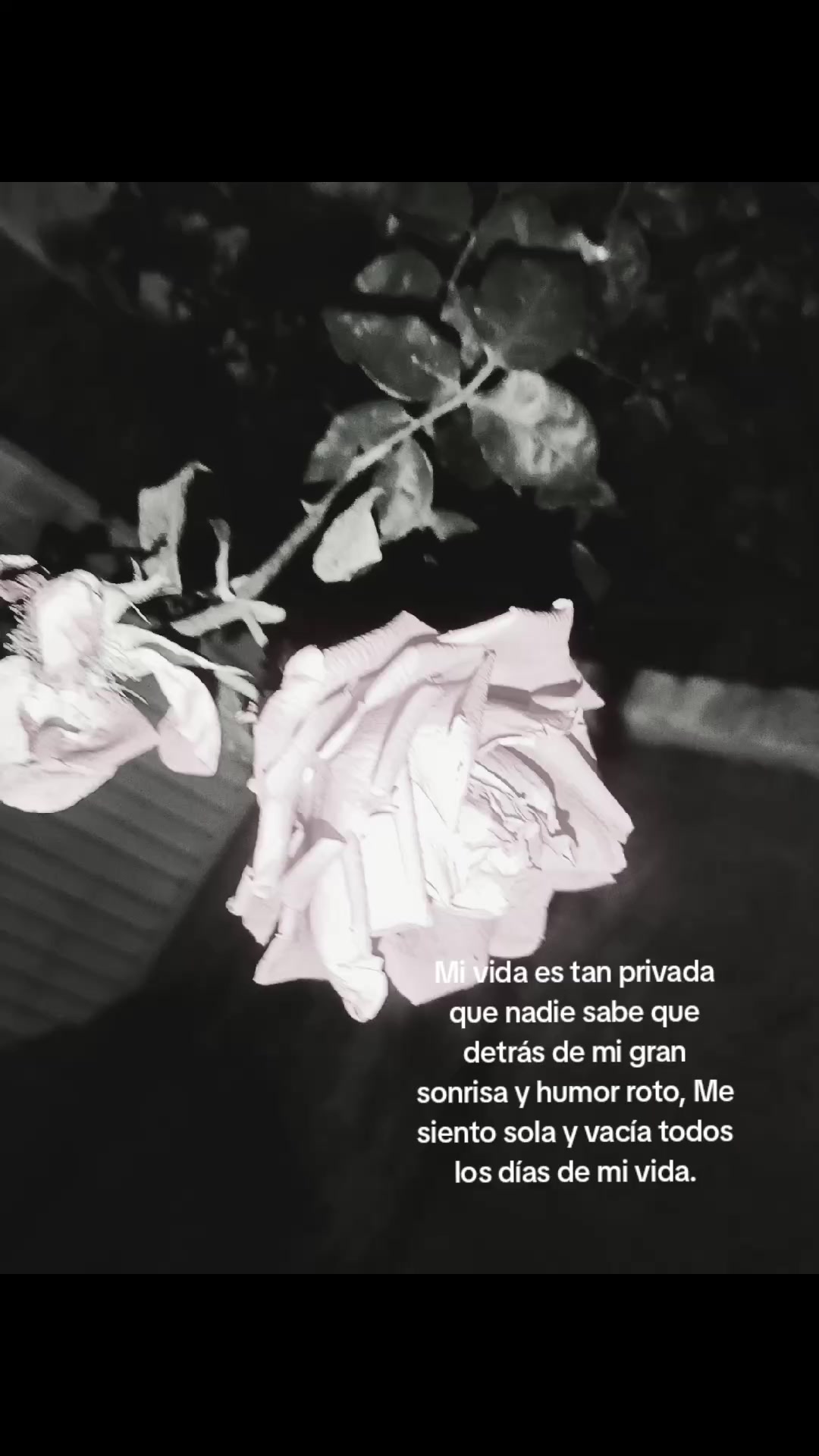 @𝄞∘˙⋆˚࿔.SOFIA.🦢𝜗𝜚˚⋆. 𐙚