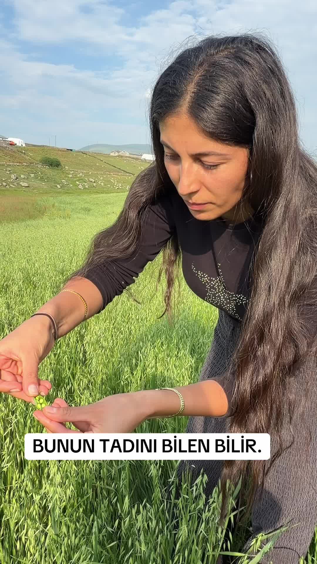 @beroo75🦋