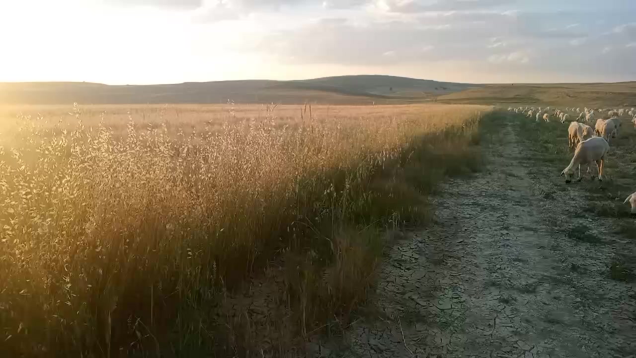@İbrahim Kılıç