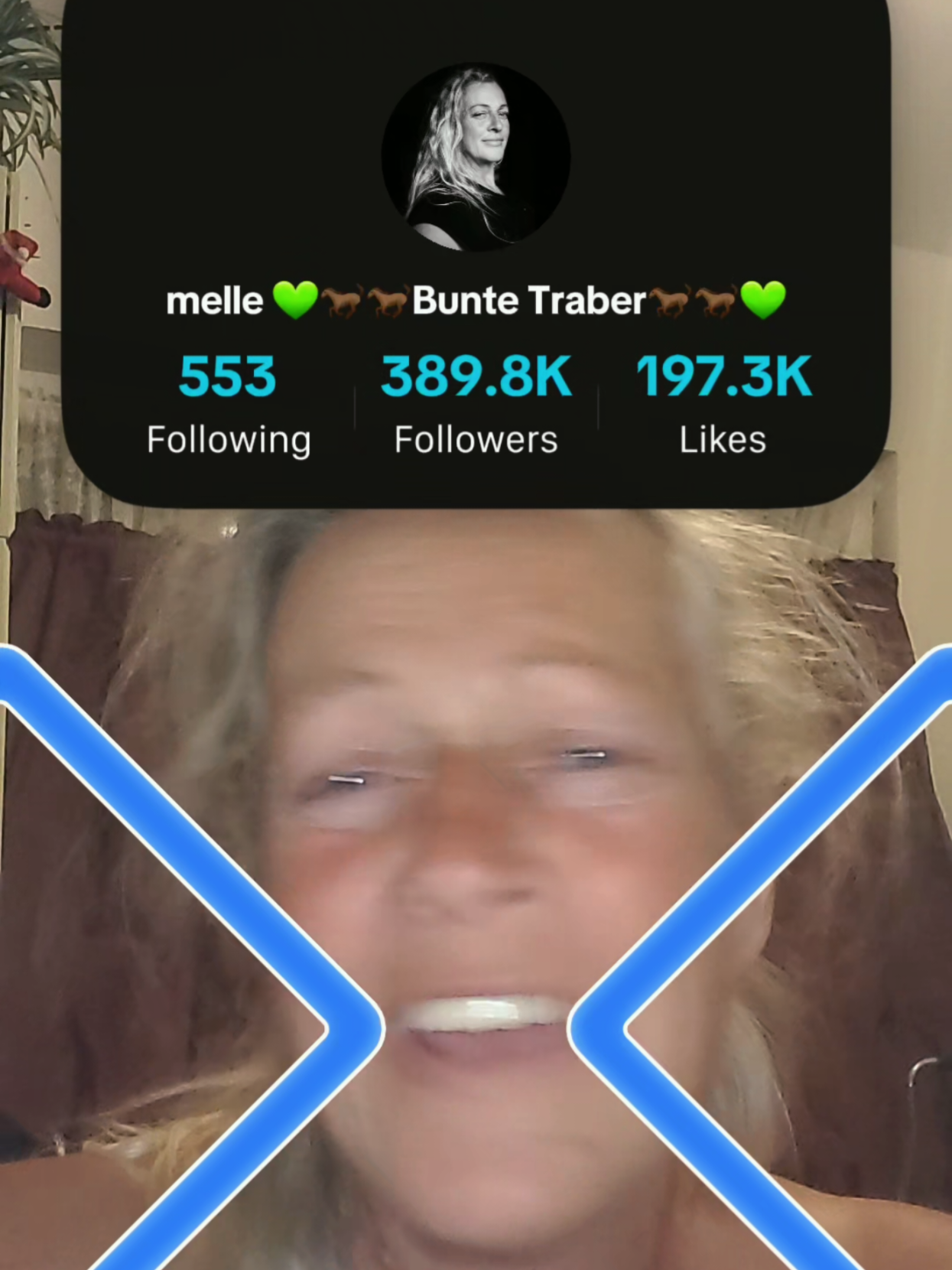 @melle 💚🐎🐎Bunte Traber🐎🐎💚