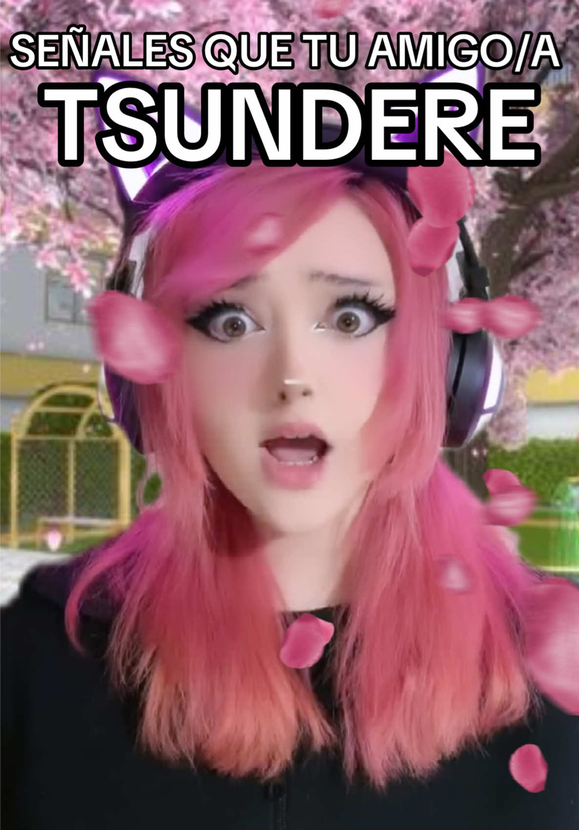 @sofii miau
