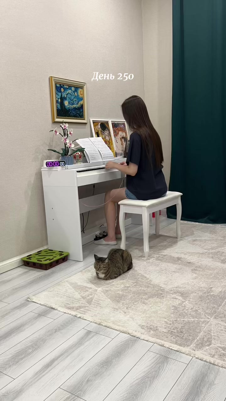 @365 days of piano