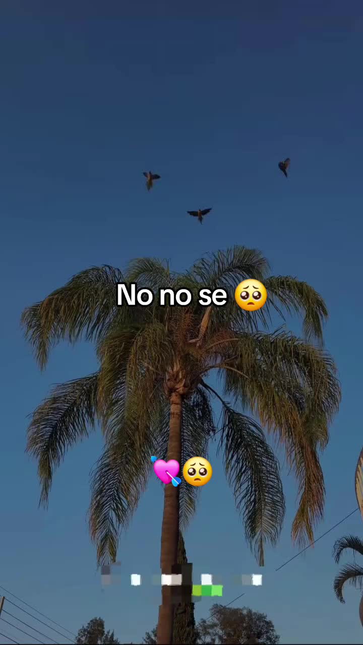 @mari