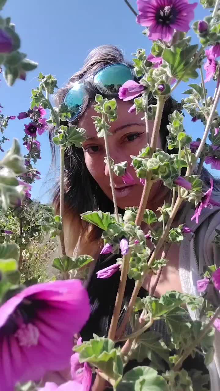 @Mabelmella5
