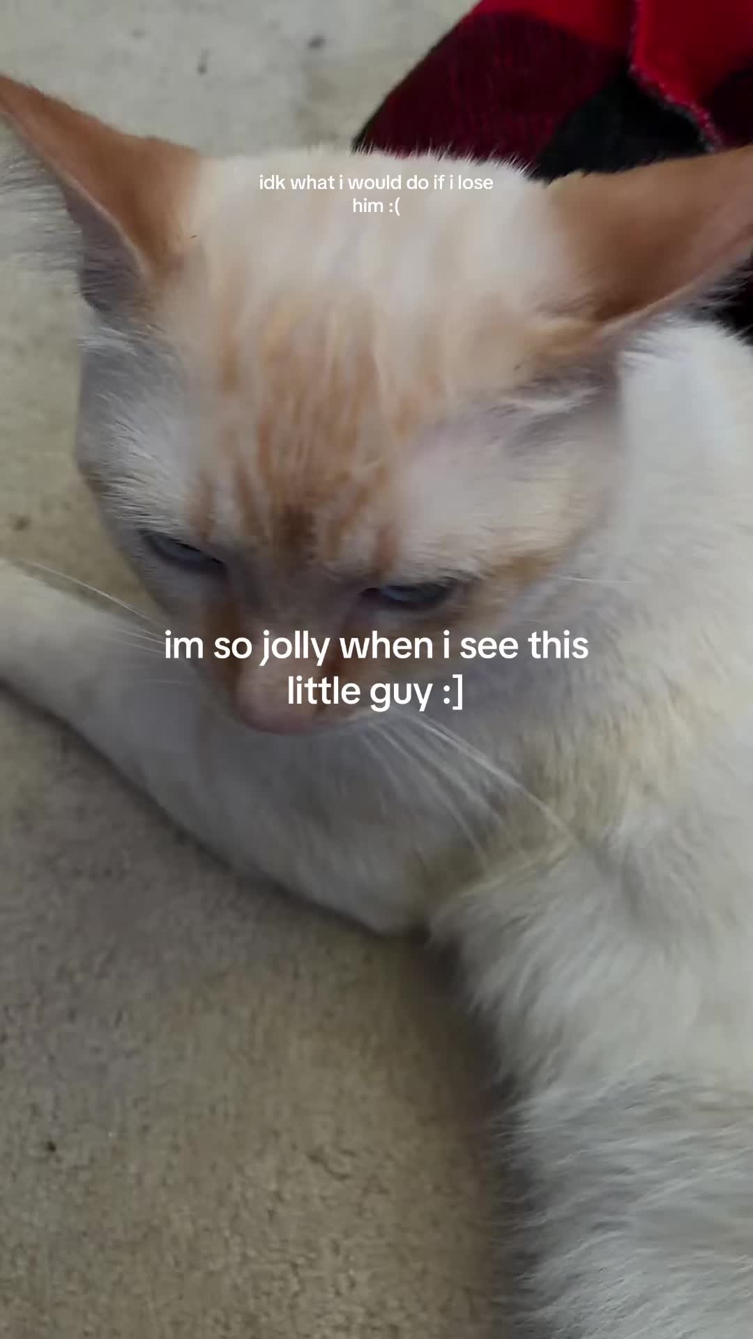 @glitch