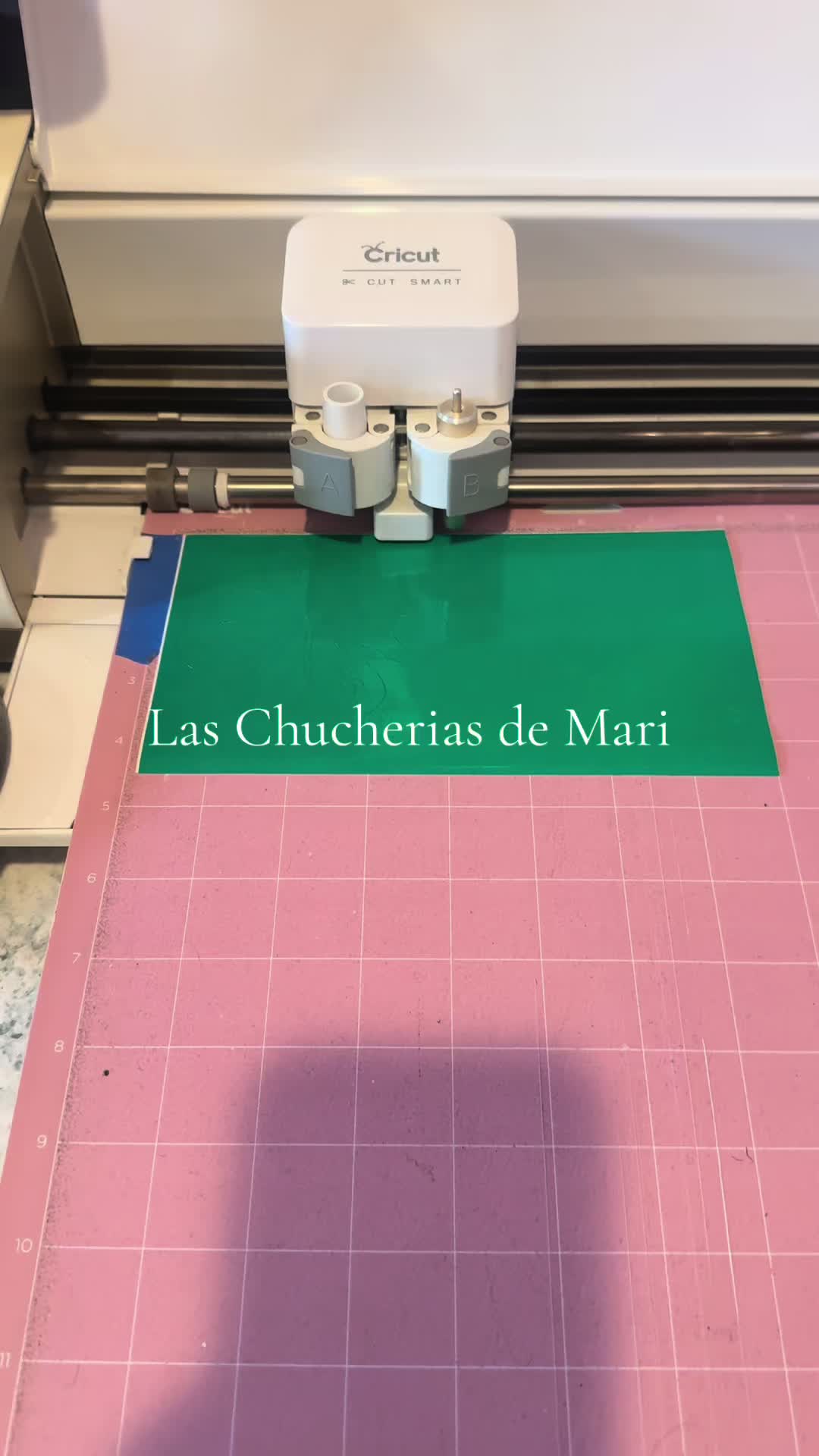 @laschucheriasdemari