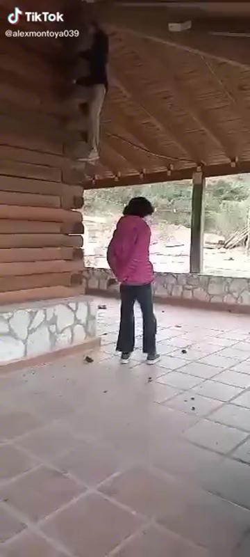 @Araoz Valeria