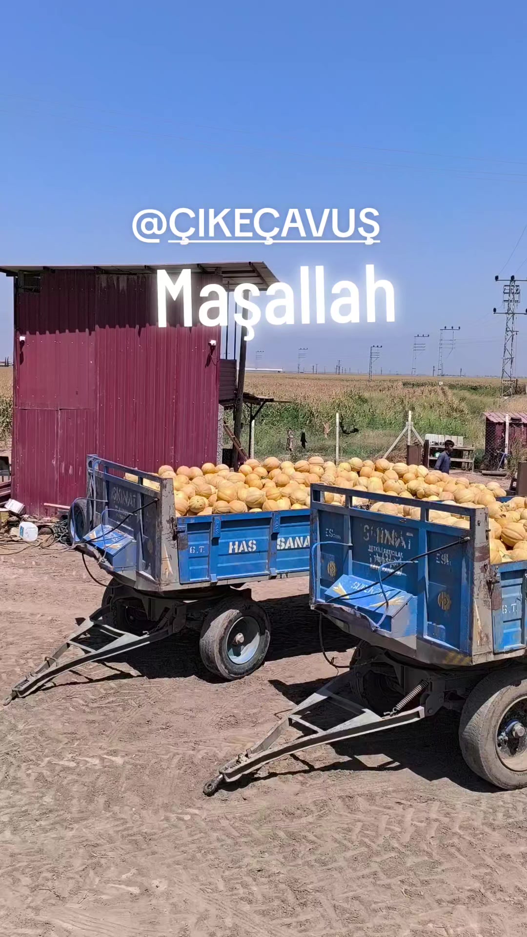 @YUSUF CİKE &Ccedil;AVUŞ
