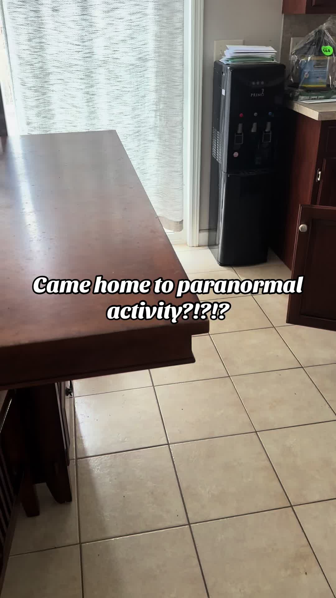 @MySphynxLife