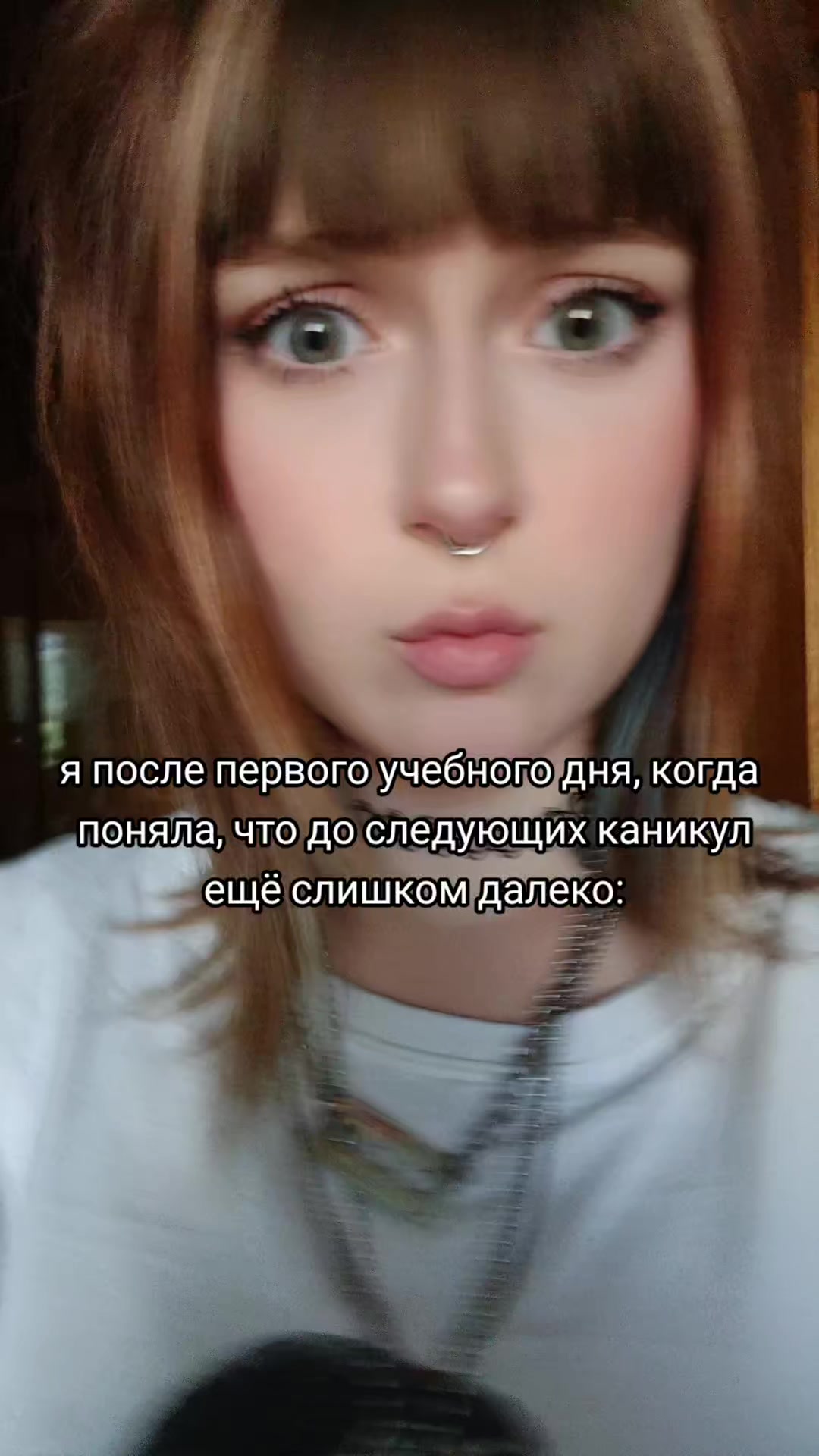 @тгк:🫐𝖛𝖎𝖕_𝖈𝖆𝖙𝟏𝟑𝟔