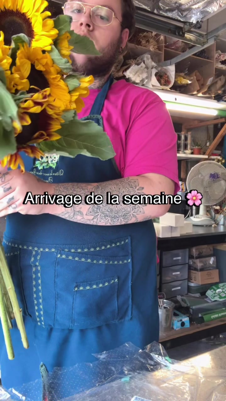@anemoneetcoccinelle