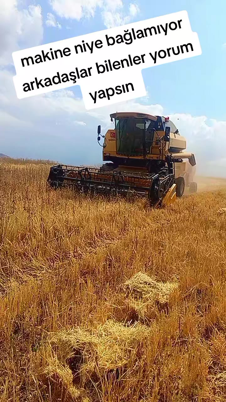@Salim oruz