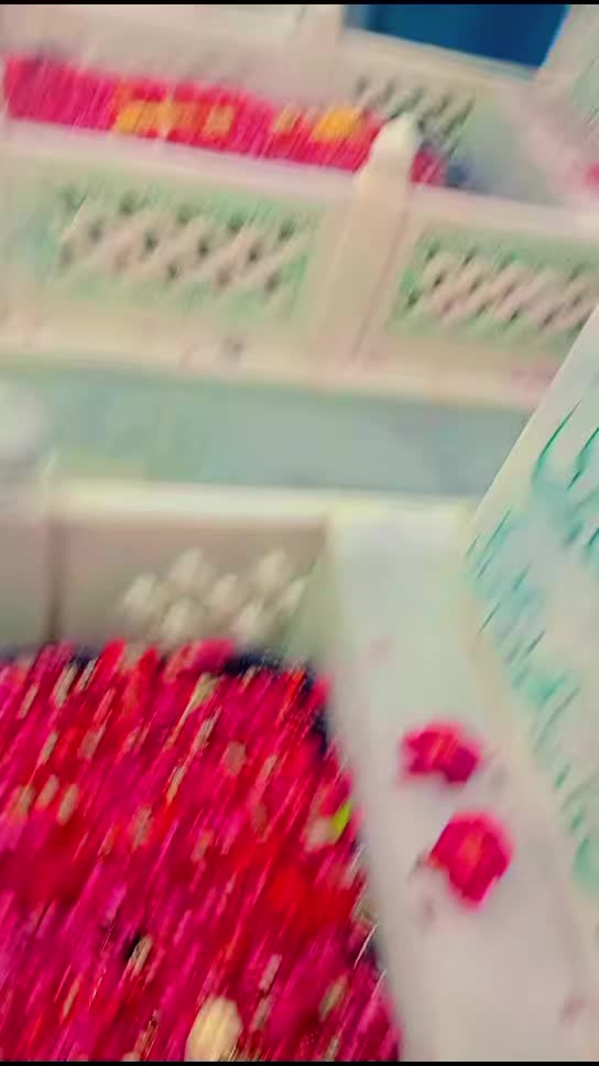 @user79349784079