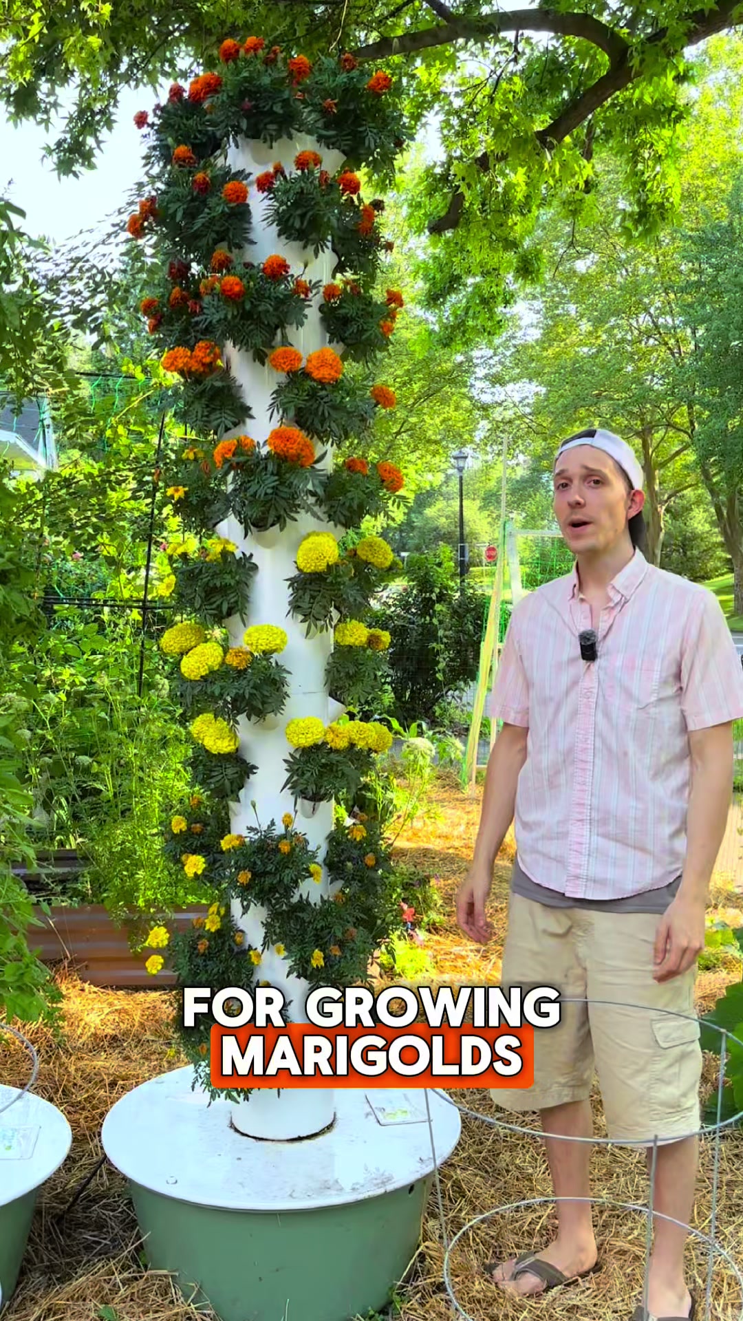 @Urban Agriculture w/ Mike