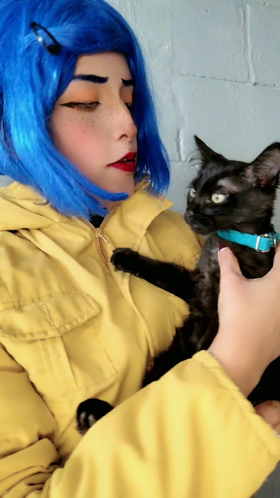 @Capitana Ayumi