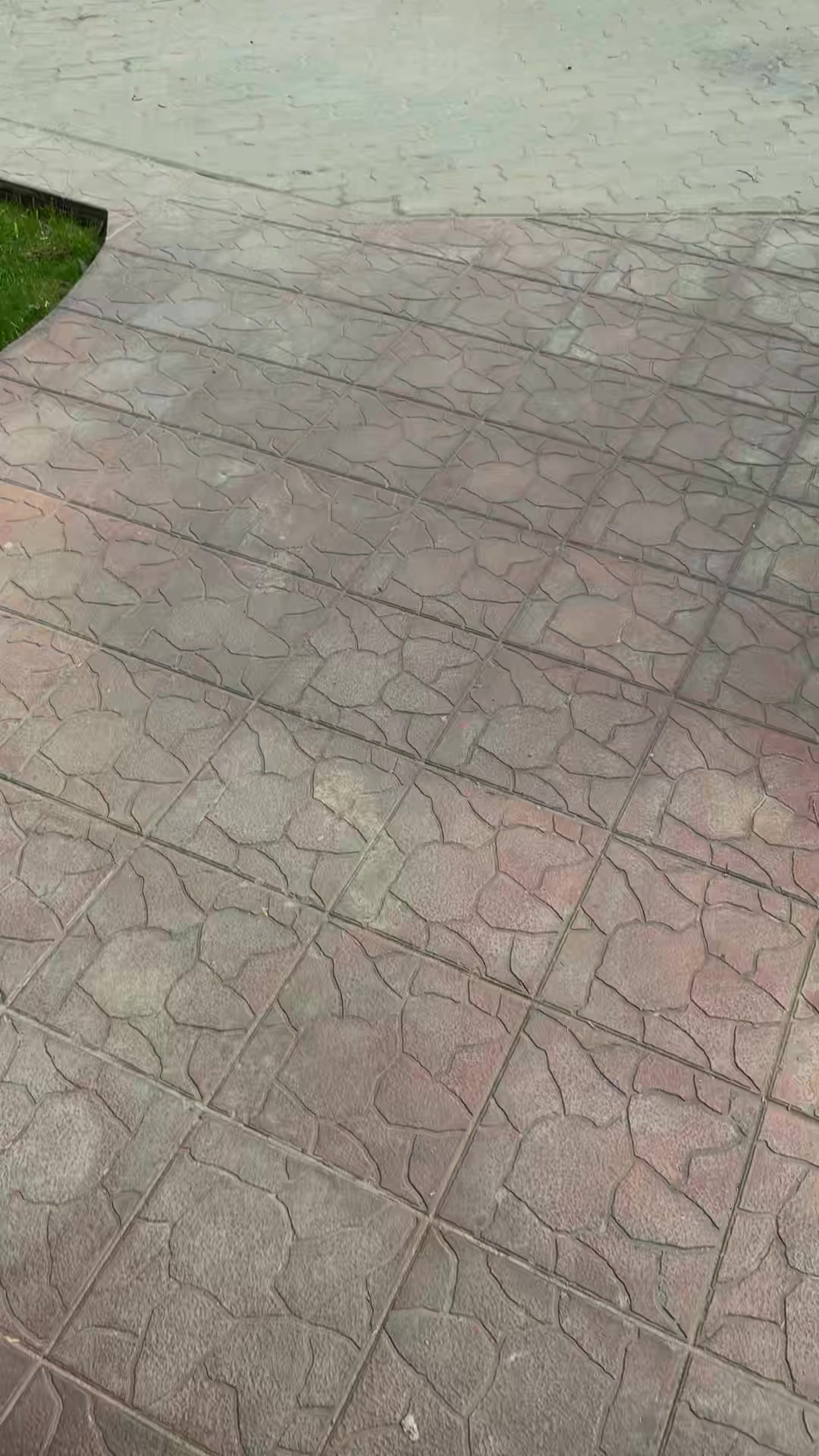 @DT_Thunder⚡️