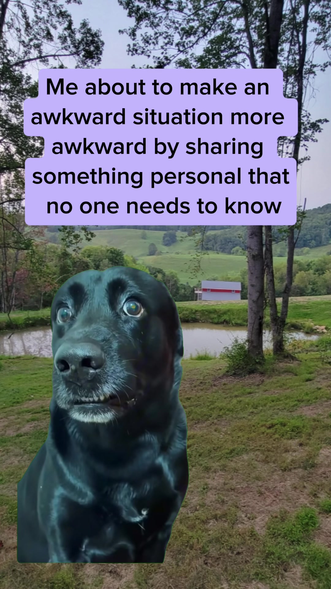 @tiktokmademesayit