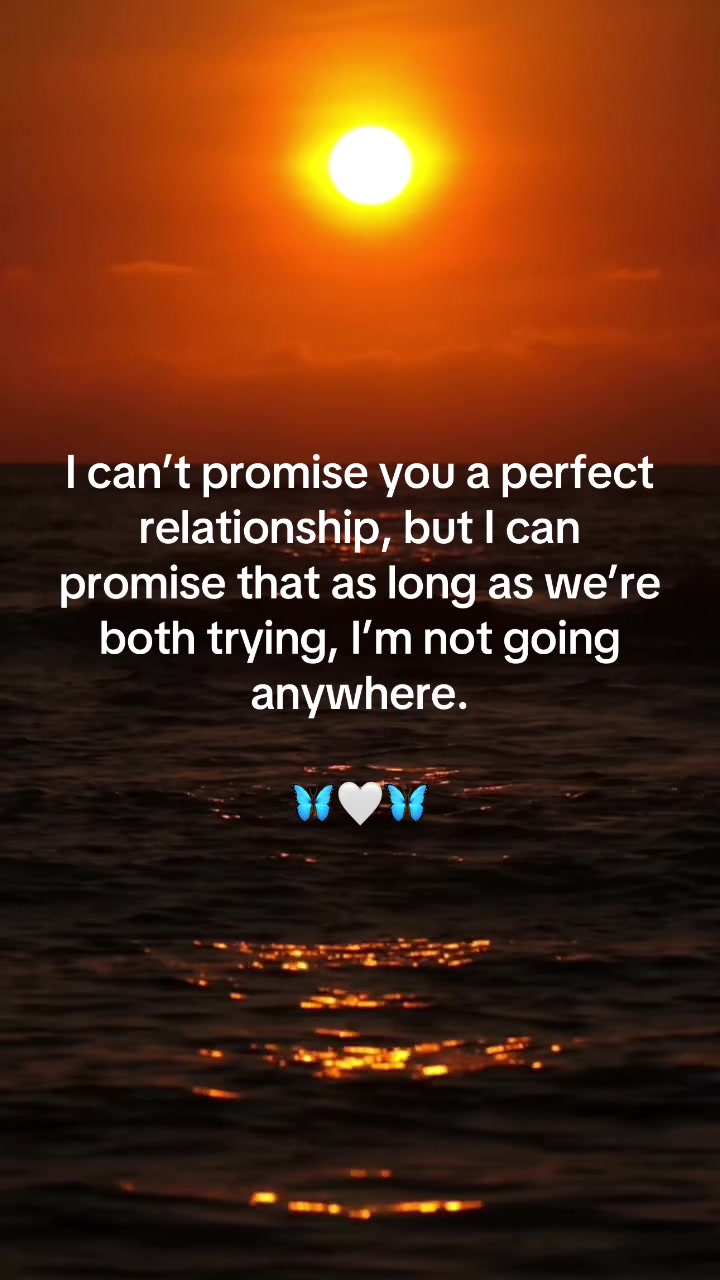 @Snowangeld1