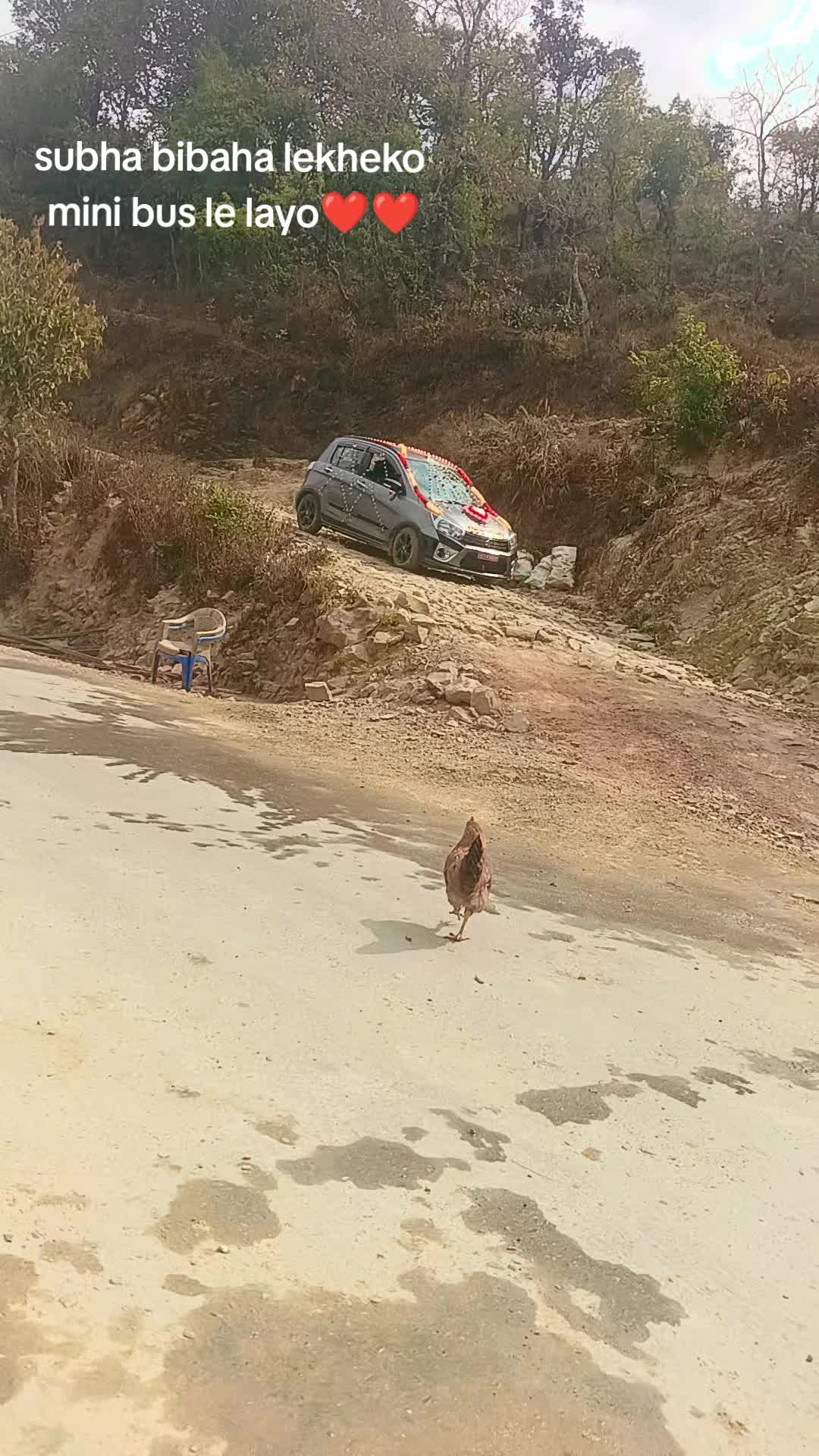 @anil bhai 157