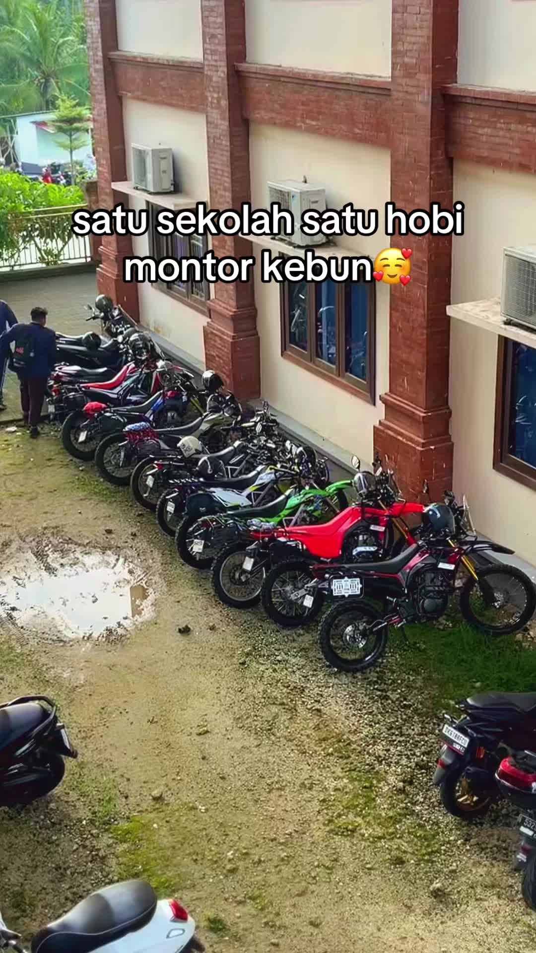 @cok_4ntik