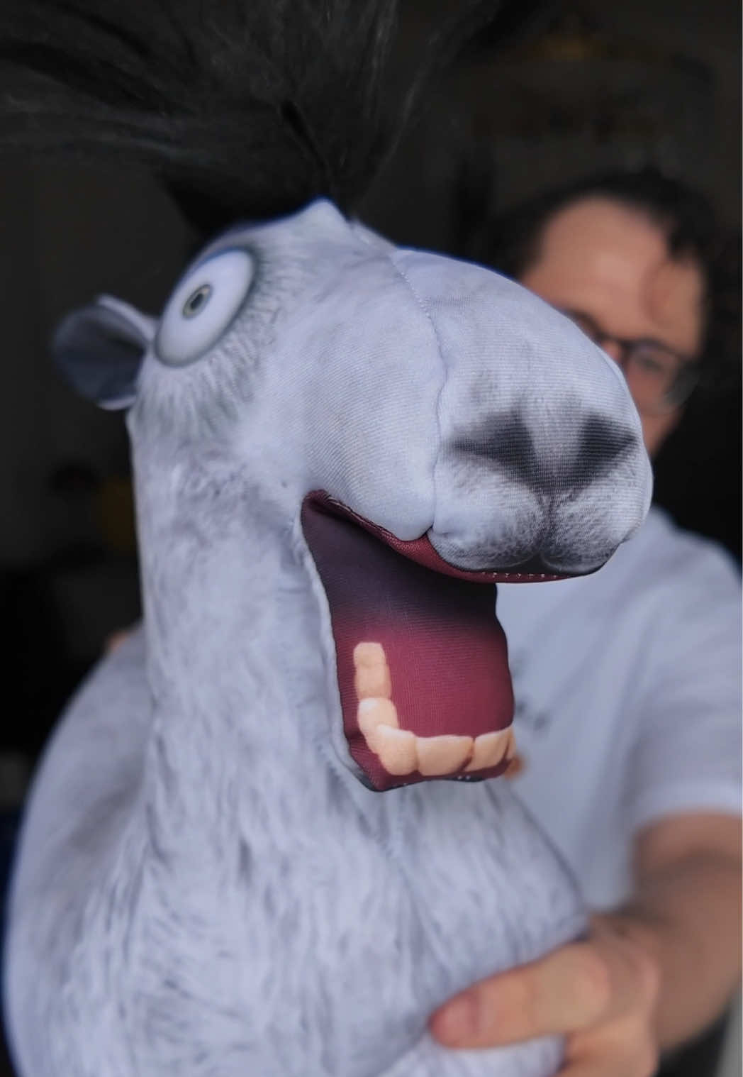 @БЛОПТОП