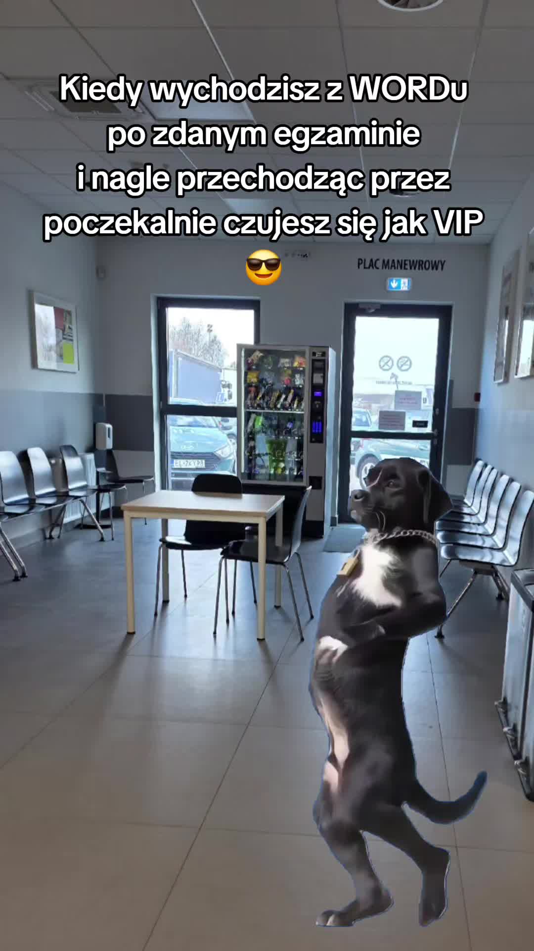 @EduDrive.pl