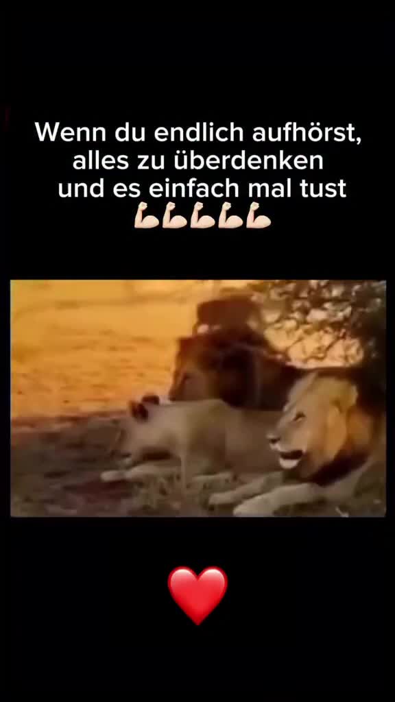 @Kremer