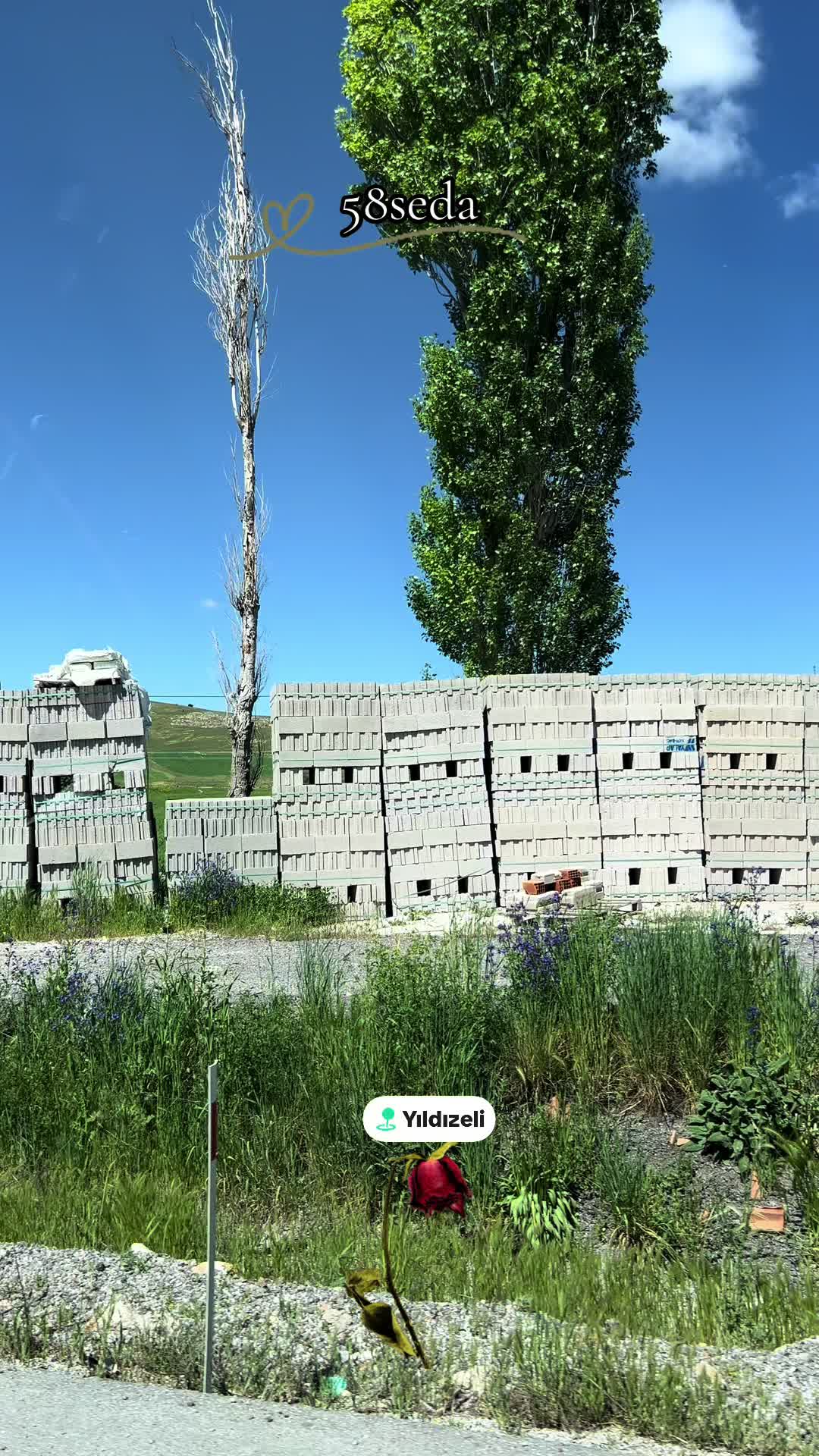 @58seda