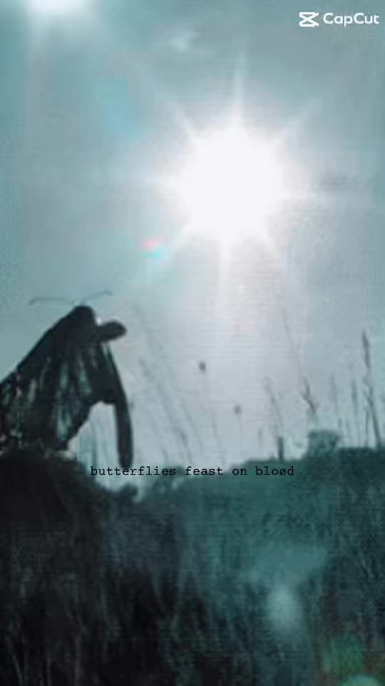 @icarusfalling