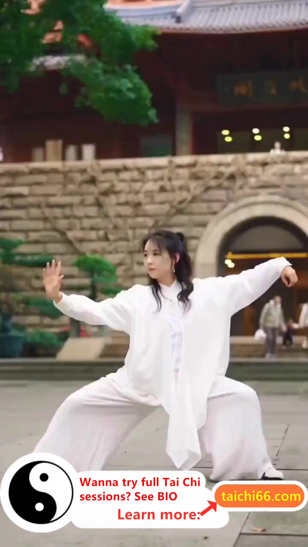 @HuaKai Taichi