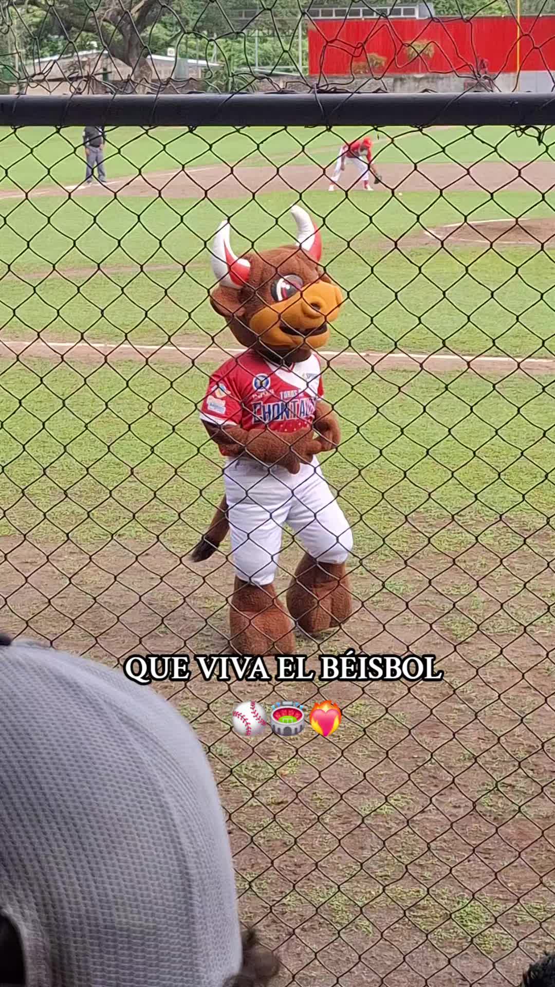 @𝒜𝓁𝒾𝓈𝓈𝑜𝓃⚾️❤️🩹🔬