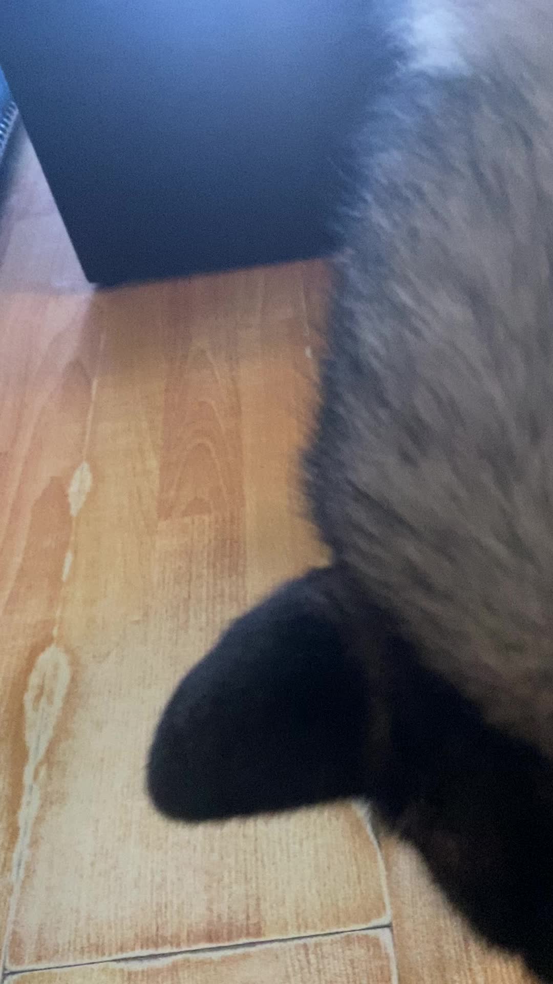 @melunbun