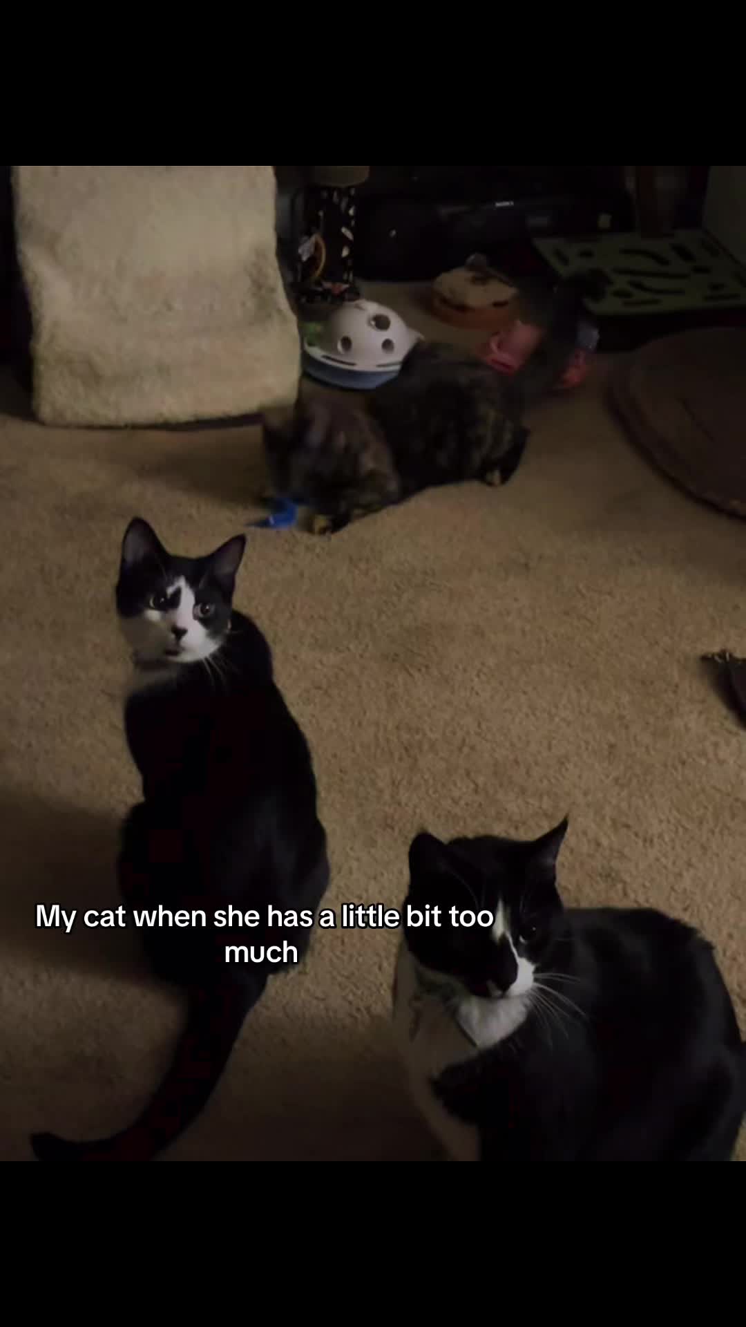 @Toni