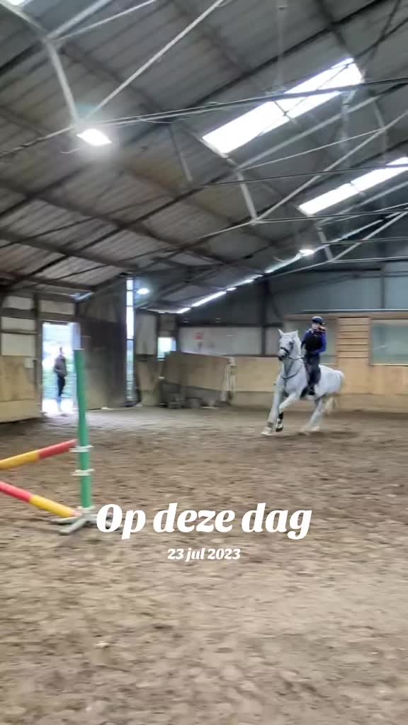 @Elegantia Horses