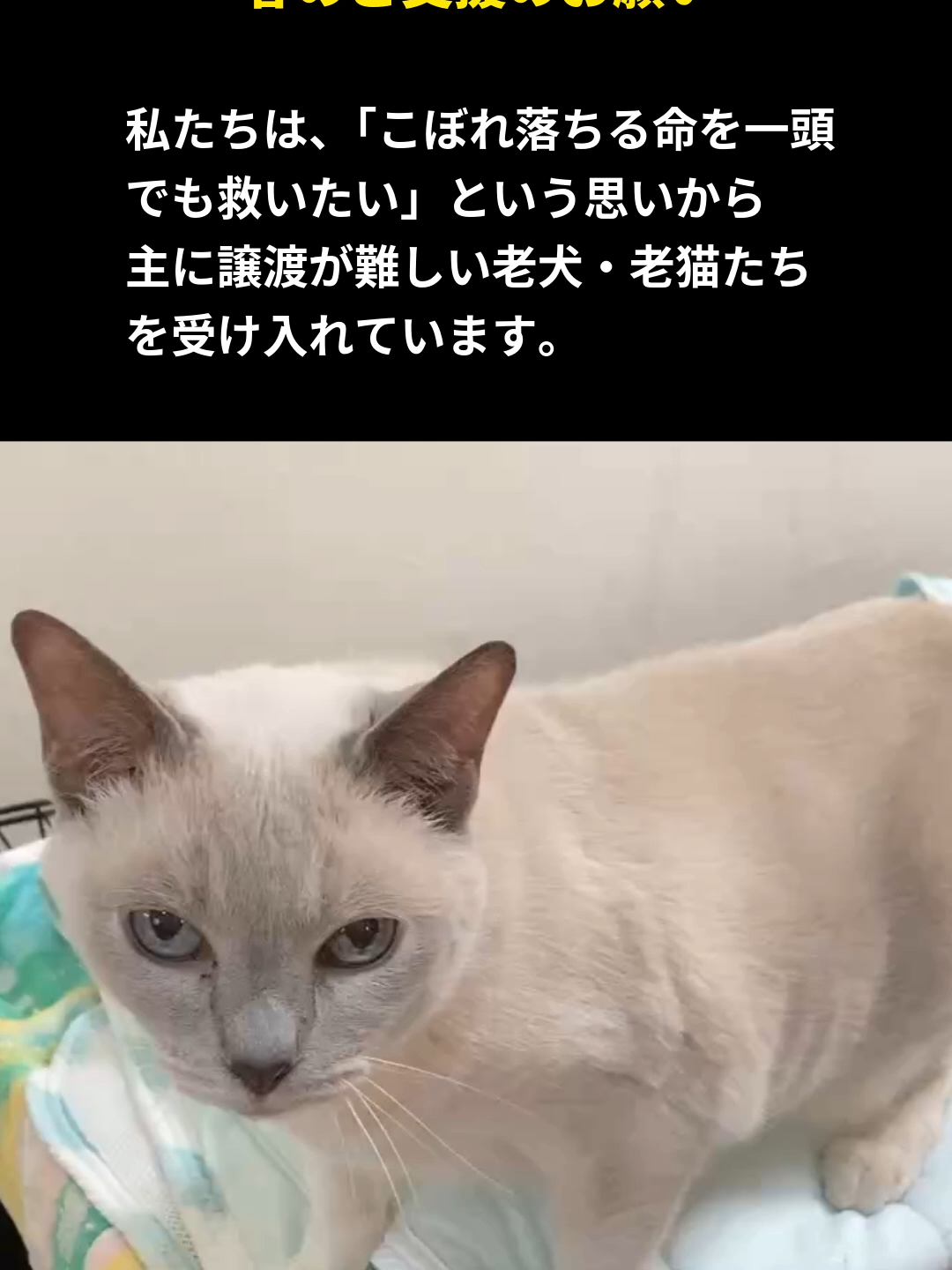 @NPO法人エターナル・ホーム