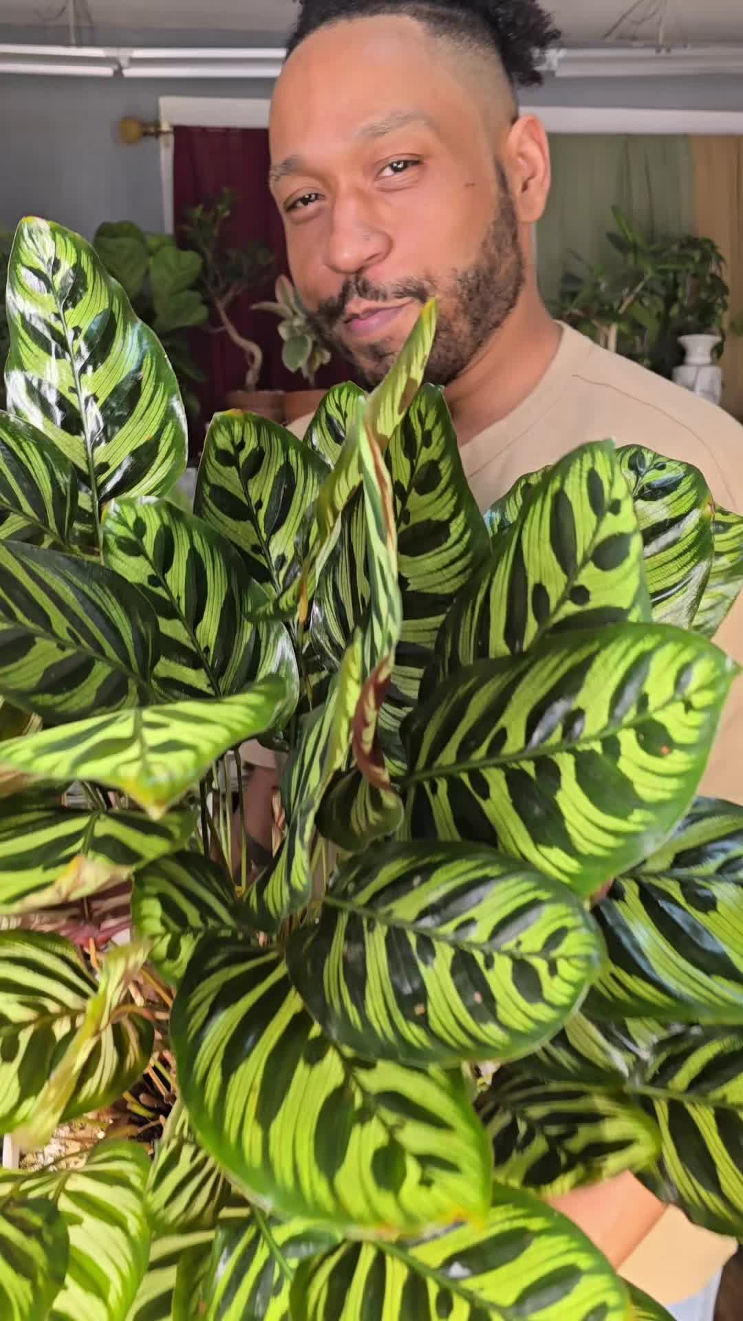 @JT - BigEGOPlants