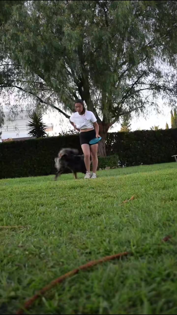 @superdogflor and company