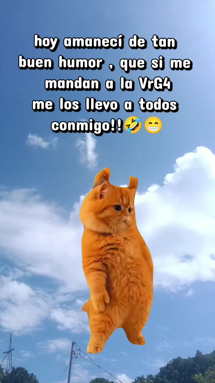 @Sanchez❤️