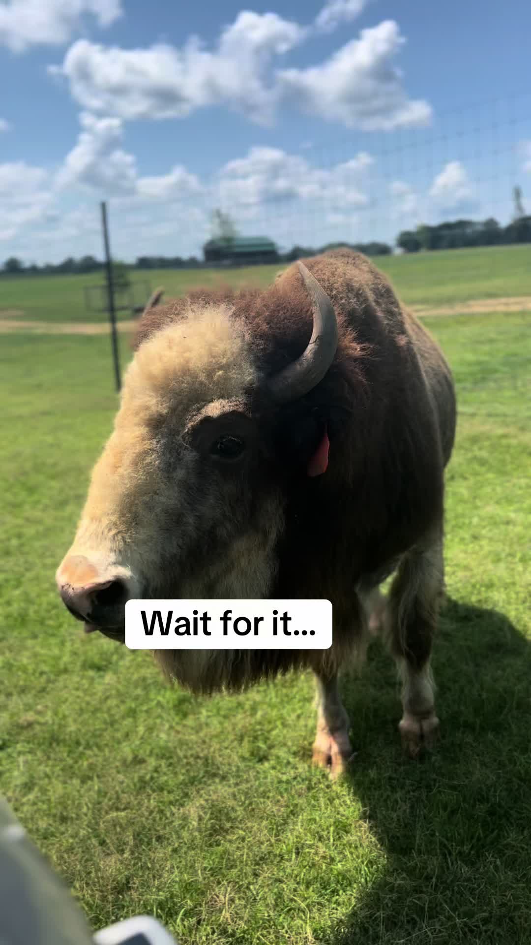@southlandsafari