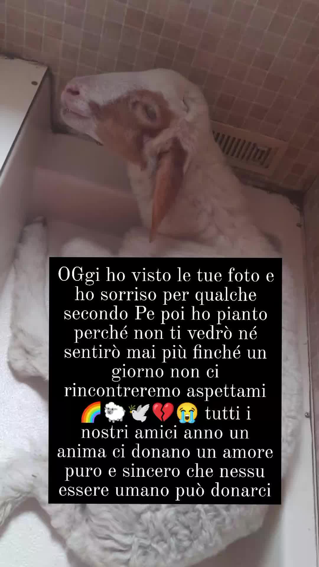 @matildelaurent14
